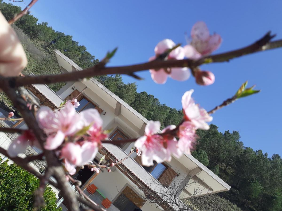 Kanushi House Gjirokastër المظهر الخارجي الصورة